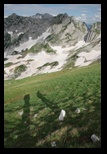 Durmitor - Prutas -02-07-2013 - Bogdan Balaban